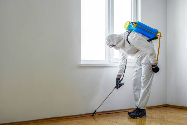 Best Best Pest Control Companies  in Port Allen, LA