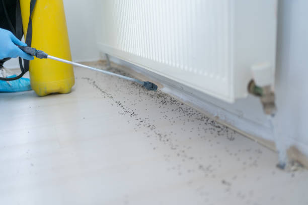 Best Best Pest Control Companies  in Port Allen, LA