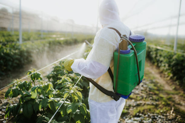 Best Commercial Pest Control Services  in Port Allen, LA